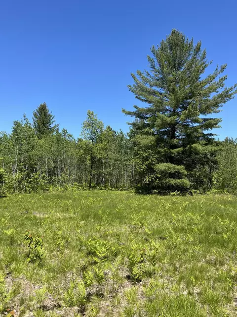 lot11 Metzgar Road Kalkaska Mi 49646 Rd, Kalkaska, MI 49646