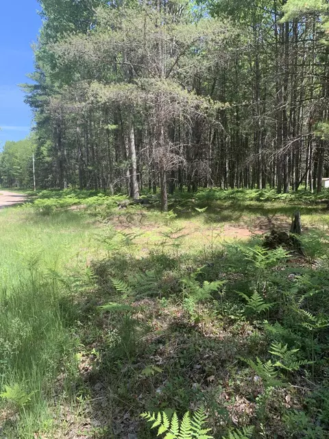 John Drive, Saint Helen, MI 48656