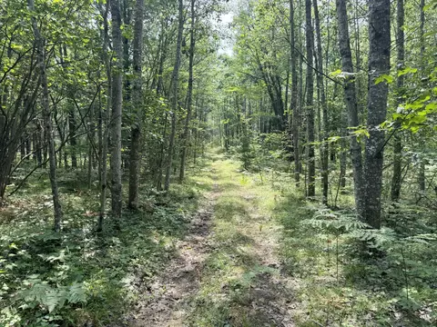 5313 W Miller Road 5294 Acres Lewiston Mi 49756 Rd #52.94 ACRES, Lewiston, MI 49756