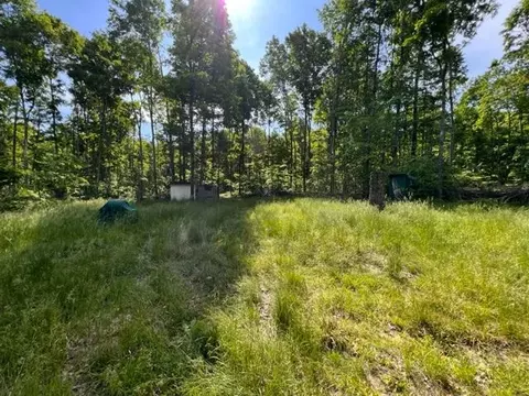 15600 Barberry Drive Lot 110 Wolverine Mi 49799 Dr #LOT 110, Wolverine, MI 49799 photo 5