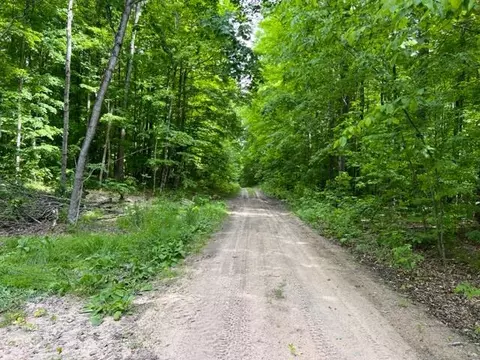 15600 Barberry Drive Lot 110 Wolverine Mi 49799 Dr #LOT 110, Wolverine, MI 49799 photo 15