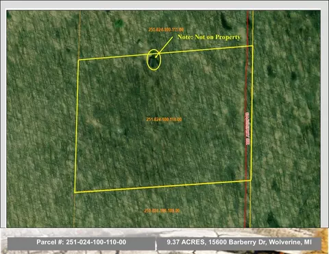 15600 Barberry Drive Lot 110 Wolverine Mi 49799 Dr #LOT 110, Wolverine, MI 49799
