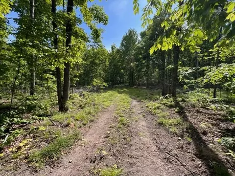 15600 Barberry Drive Lot 110 Wolverine Mi 49799 Dr #LOT 110, Wolverine, MI 49799 photo 6