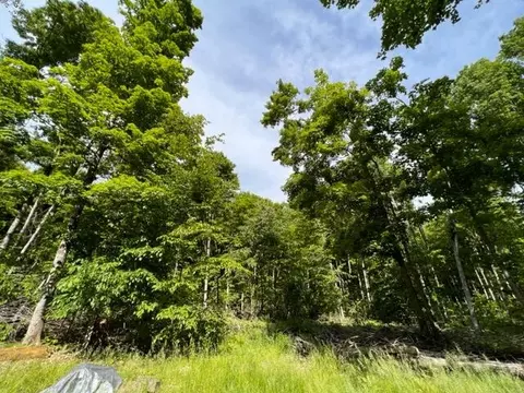 15600 Barberry Drive Lot 110 Wolverine Mi 49799 Dr #LOT 110, Wolverine, MI 49799 photo 9