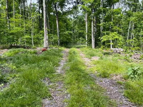 15600 Barberry Drive Lot 110 Wolverine Mi 49799 Dr #LOT 110, Wolverine, MI 49799 photo 7