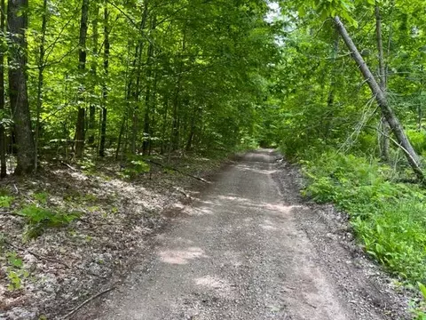 15600 Barberry Drive Lot 110 Wolverine Mi 49799 Dr #LOT 110, Wolverine, MI 49799 photo 14