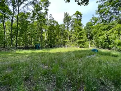 15600 Barberry Drive Lot 110 Wolverine Mi 49799 Dr #LOT 110, Wolverine, MI 49799 photo 4
