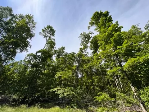 15600 Barberry Drive Lot 110 Wolverine Mi 49799 Dr #LOT 110, Wolverine, MI 49799 photo 8
