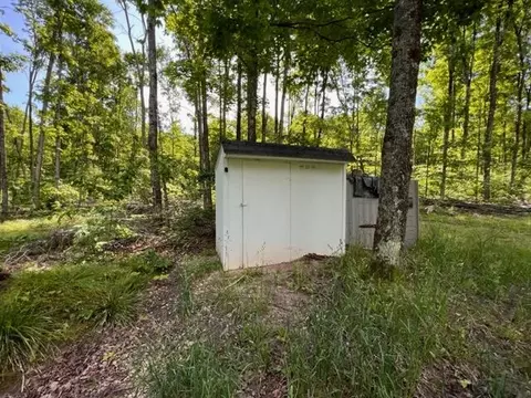 15600 Barberry Drive Lot 110 Wolverine Mi 49799 Dr #LOT 110, Wolverine, MI 49799 photo 10