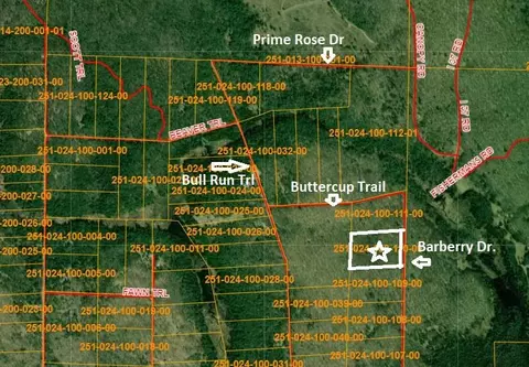15600 Barberry Drive Lot 110 Wolverine Mi 49799 Dr #LOT 110, Wolverine, MI 49799 photo 2