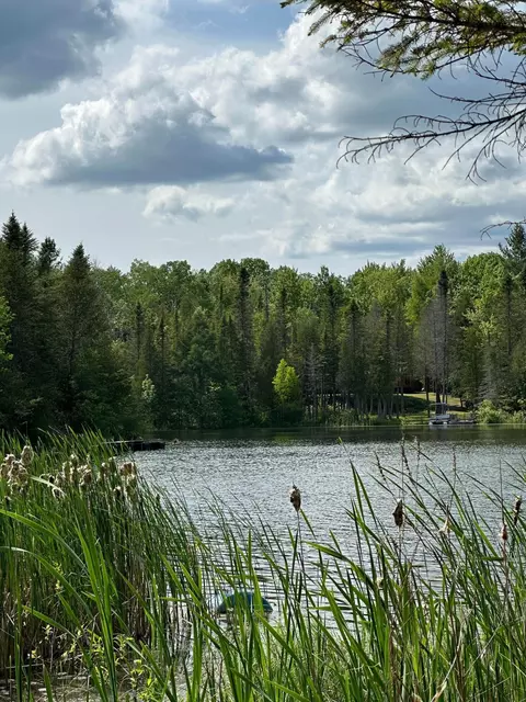 Parcel 179 W Lake Circle Drive, Curran, MI 48728