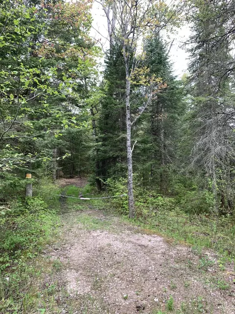 Walker Road, Moran, MI 49760 photo 14