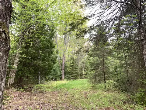 Walker Road, Moran, MI 49760 photo 23