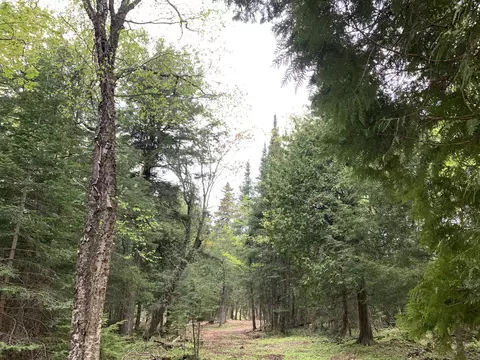 Walker Road, Moran, MI 49760 photo 36