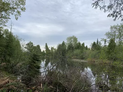 Walker Road, Moran, MI 49760 photo 9