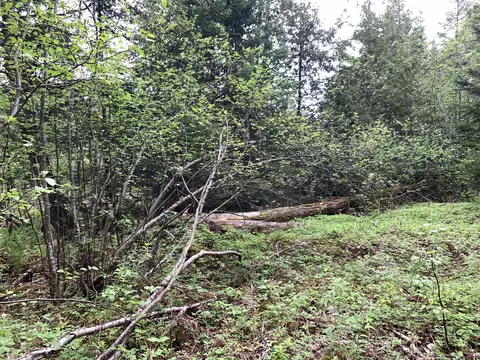Walker Road, Moran, MI 49760 photo 31