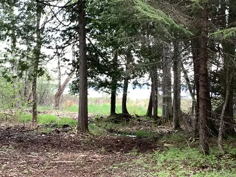 Walker Road, Moran, MI 49760 photo 18