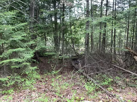 Walker Road, Moran, MI 49760 photo 19