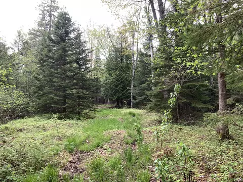 Walker Road, Moran, MI 49760 photo 15