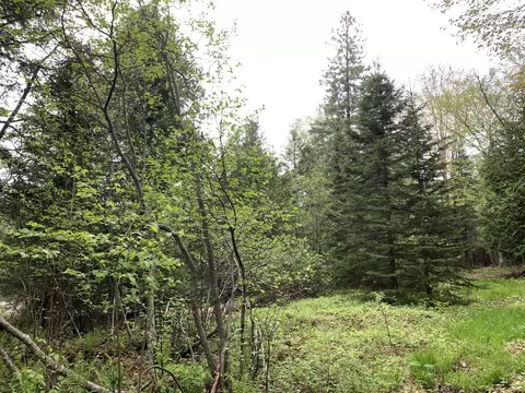 Walker Road, Moran, MI 49760 photo 26