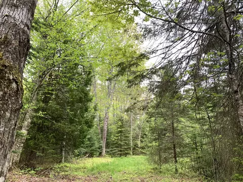 Walker Road, Moran, MI 49760 photo 11