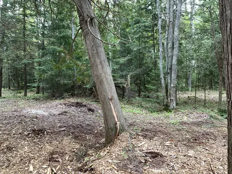 Walker Road, Moran, MI 49760 photo 32