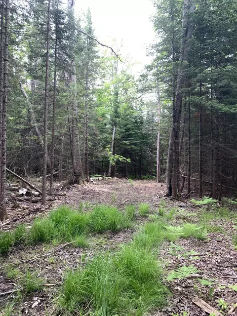Walker Road, Moran, MI 49760 photo 13