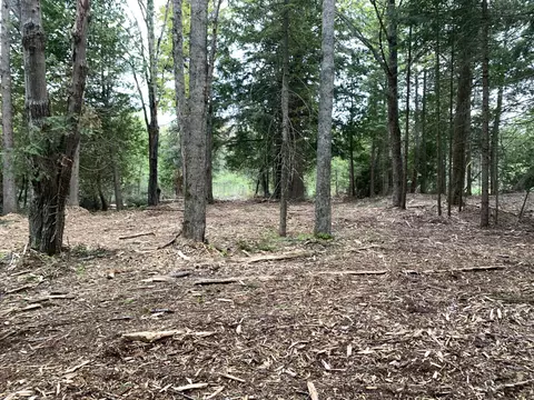 Walker Road, Moran, MI 49760 photo 27