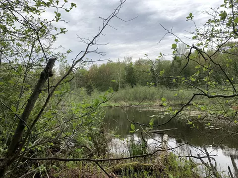 Walker Road, Moran, MI 49760 photo 6
