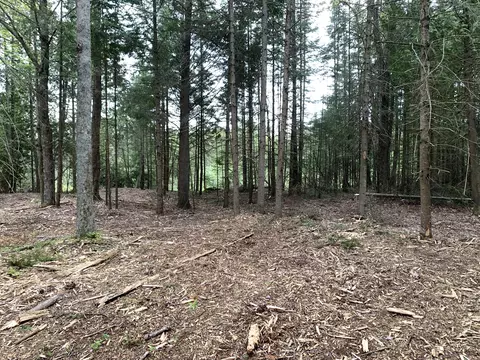 Walker Road, Moran, MI 49760 photo 33