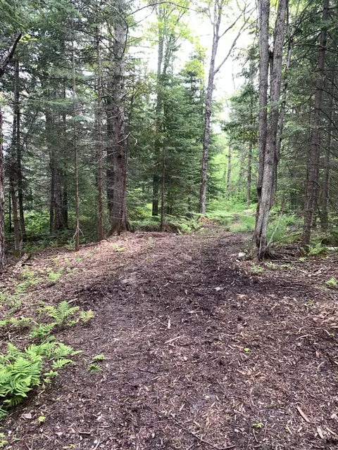 Walker Road, Moran, MI 49760 photo 12