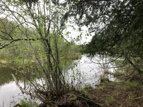 Walker Road, Moran, MI 49760