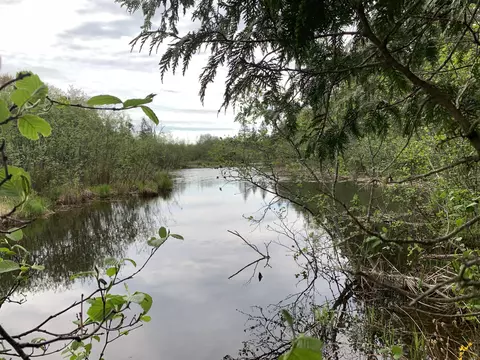 Walker Road, Moran, MI 49760 photo 2