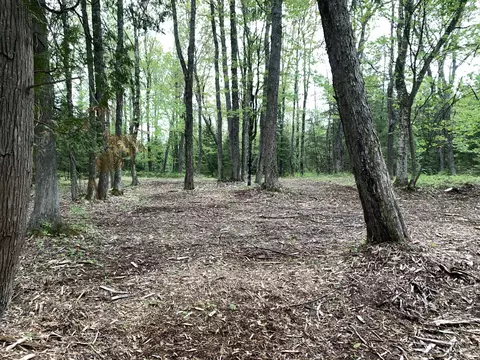 Walker Road, Moran, MI 49760 photo 37