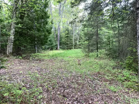 Walker Road, Moran, MI 49760 photo 21