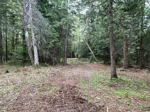 Walker Road, Moran, MI 49760 photo 35