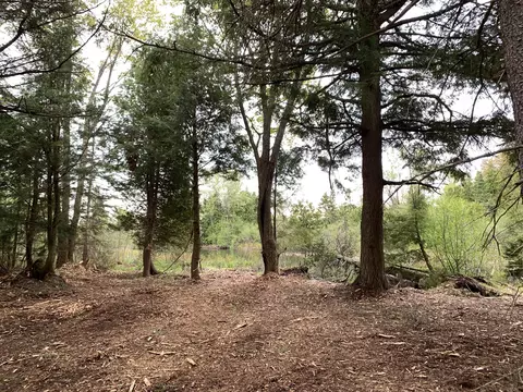 Walker Road, Moran, MI 49760 photo 34