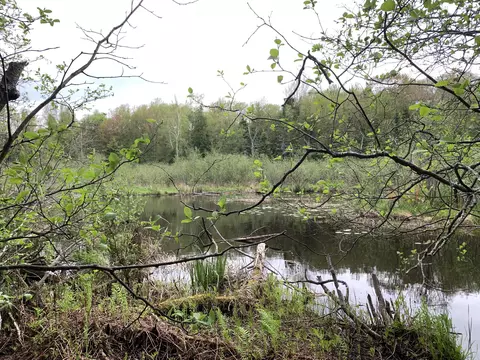 Walker Road, Moran, MI 49760 photo 5