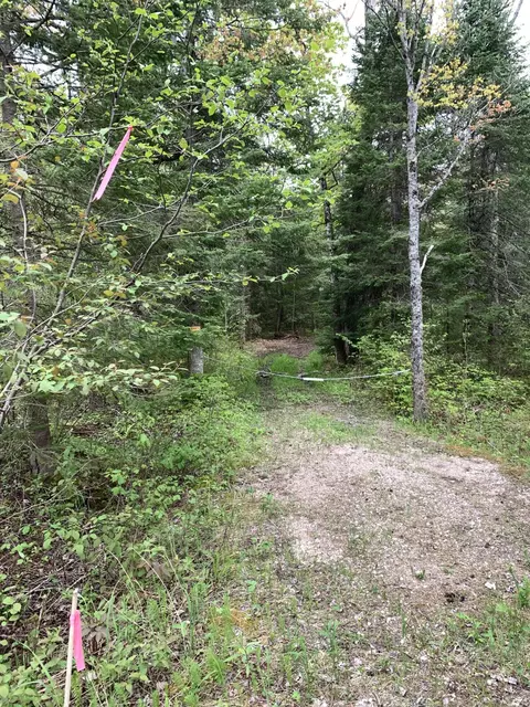 Walker Road, Moran, MI 49760 photo 3
