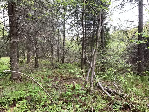 Walker Road, Moran, MI 49760 photo 16
