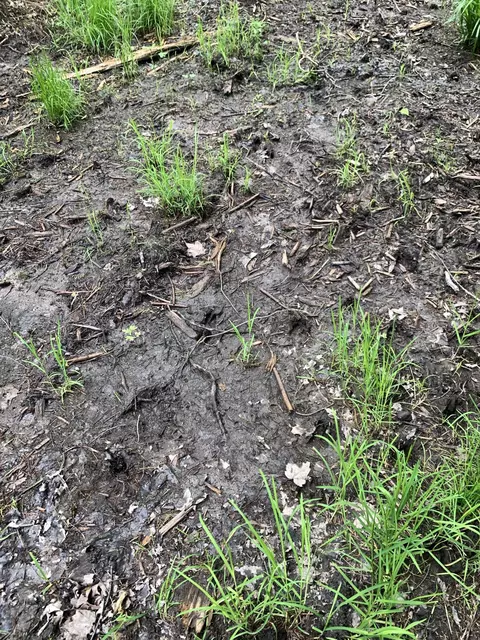 Walker Road, Moran, MI 49760 photo 38