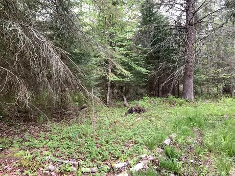 Walker Road, Moran, MI 49760 photo 25
