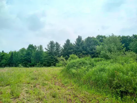 Sugar River Road, Gladwin, MI 48624 photo 3
