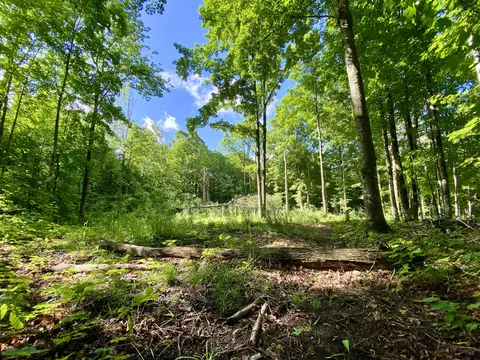 4345 Webster Road 13 Acres Elmira Mi 49730 Rd #13 ACRES, Elmira, MI 49730