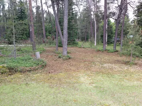 Shaw Park Road, Grayling, MI 49738 photo 8