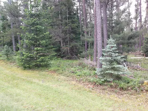 Shaw Park Road, Grayling, MI 49738 photo 9