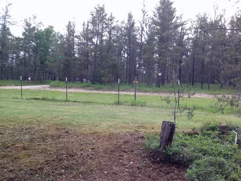 Shaw Park Road, Grayling, MI 49738 photo 12
