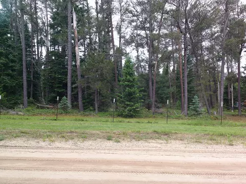 Shaw Park Road, Grayling, MI 49738