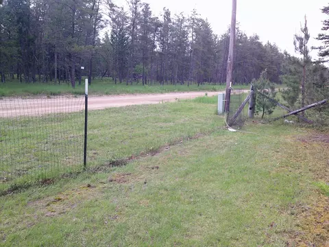 Shaw Park Road, Grayling, MI 49738 photo 6