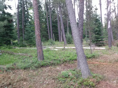 Shaw Park Road, Grayling, MI 49738 photo 11